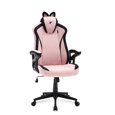 TTRacing Duo V4 Air Threads Fabric Gaming Chair - KittyPuff